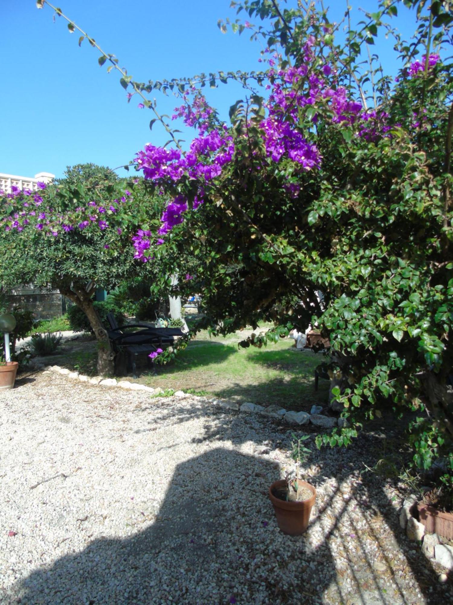 Bed & Breakfast Villino Vanzetti 1930 *